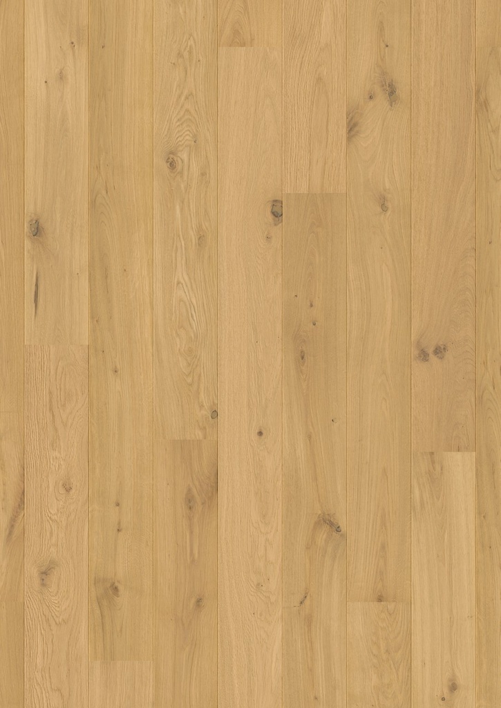 [QS-AMT3100] Quickstep Amato - Chêne pur extra mat (AMT3100)