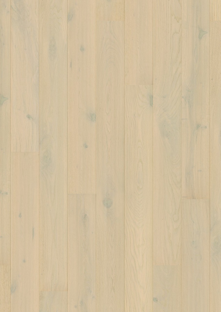 [QS-AMT3854] Quickstep Amato - Chêne forêt hivernale extra mat (AMT3854)