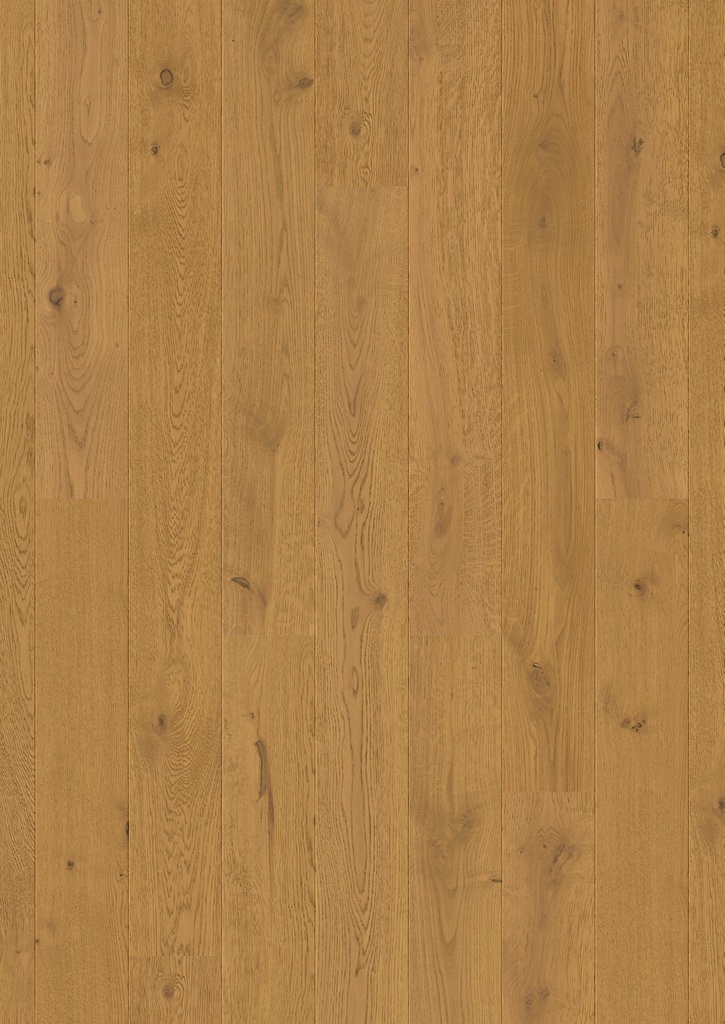 [QS-AMT7446] Quickstep Amato - Chêne châtaigne foncé extra mat (AMT7446)