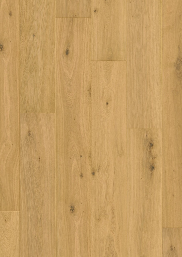 Quickstep Cala - Chêne pur extra mat (CAL5611)