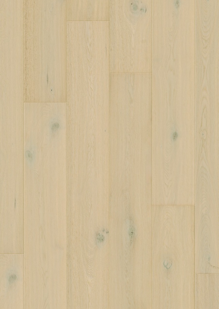 [QS-CAL7445] Quickstep Cala - Chêne forêt hivernale extra mat (CAL7445)