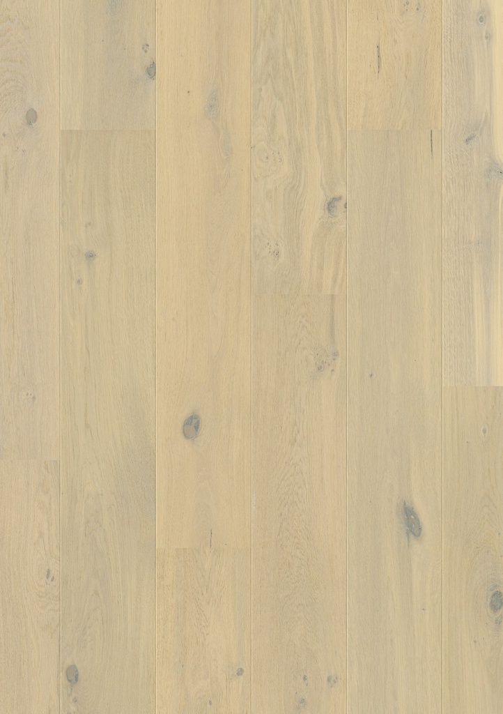 [QS-CASC3854] Quickstep Cascada - Chêne forêt hivernale extra mat (CASC3854)