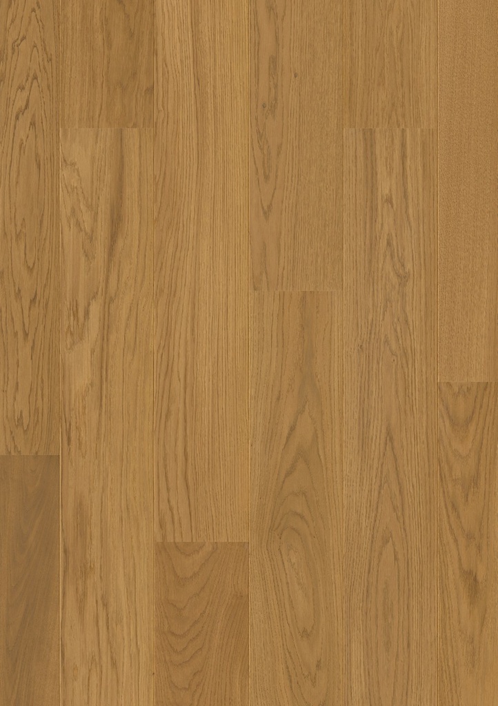 [QS-CASC6034] Quickstep Cascada - Chêne châtain clair extra mat (CASC6034)