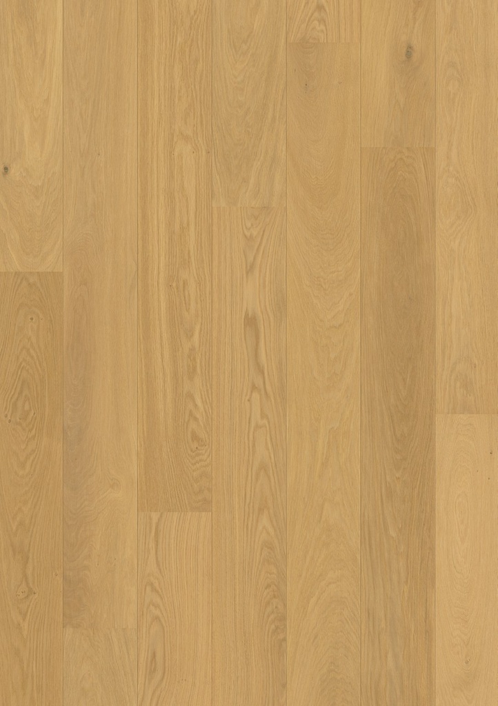 Quickstep Palazzo - Chêne raffiné extra mat (PAL3095S)