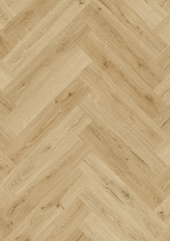 [QS-AVHBU40362] Quickstep Ciro - Beige ramageux (AVHBU40362)