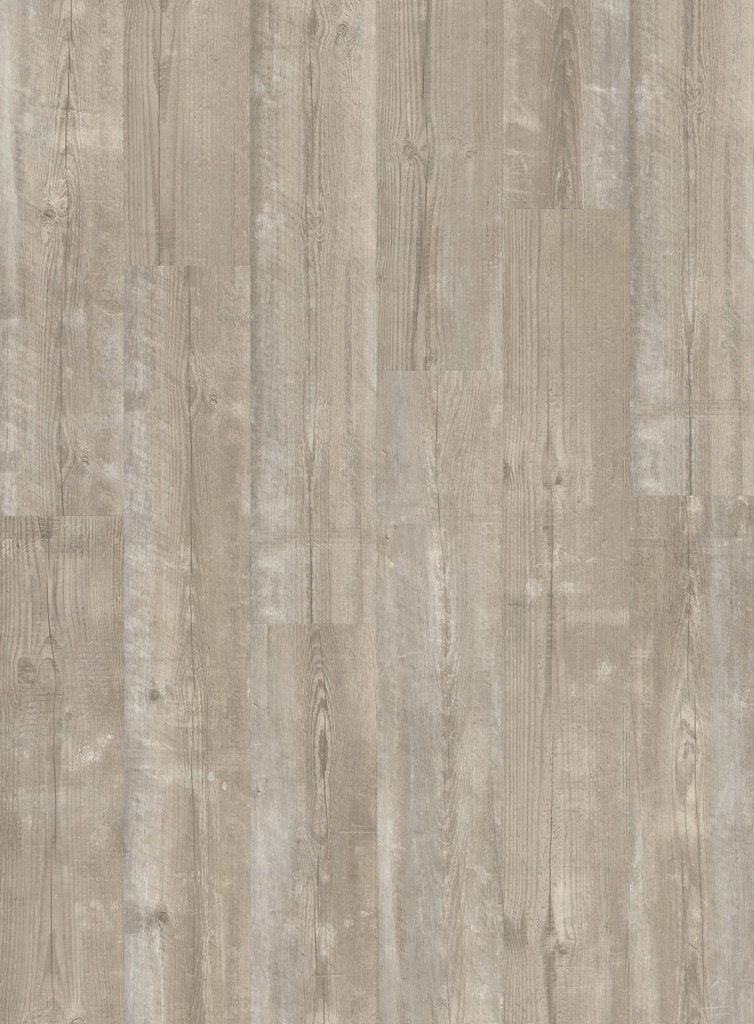 [QS-AVMPU40074] Quickstep Bloom - Pin brume matinale (AVMPU40074)