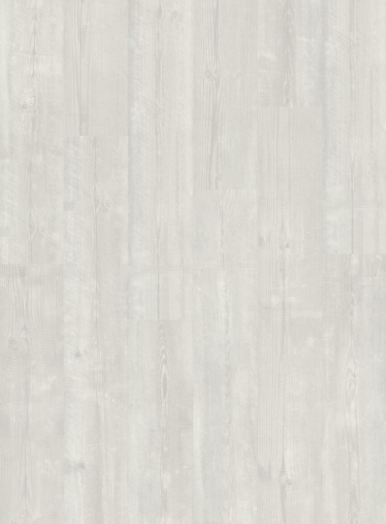 [QS-AVMPU40204] Quickstep Bloom - Pin des neiges (AVMPU40204)