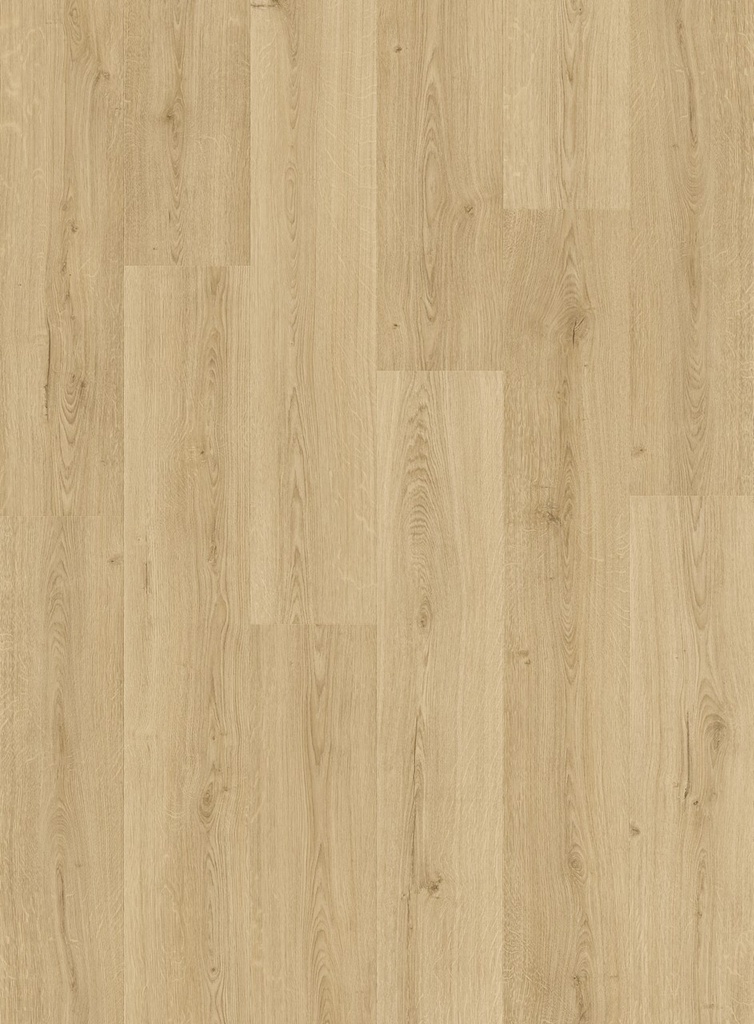 [QS-AVMPU40236] Quickstep Bloom - Beige ramageux (AVMPU40236)