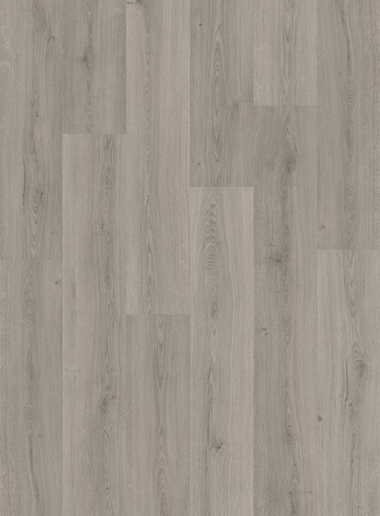 [QS-AVMPU40237] Quickstep Bloom - Gris ramageux (AVMPU40237)
