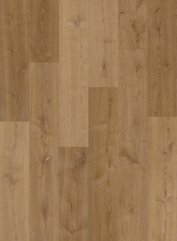 [QS-AVMPU40317] Quickstep Bloom - Chêne élégant fumé (AVMPU40317)