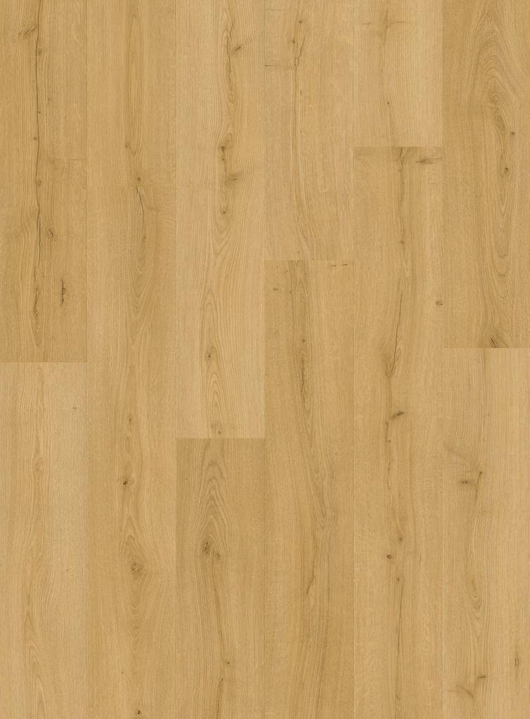 [QS-AVMPU40318] Quickstep Bloom - Chêne miel brossé (AVMPU40318)