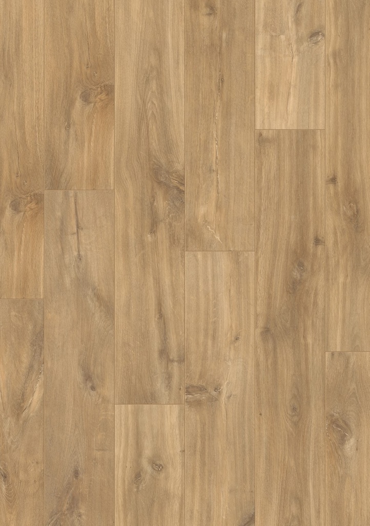 [QS-CLP1487] Quickstep Classic Plus - Chêne minuit naturel (CLP1487)