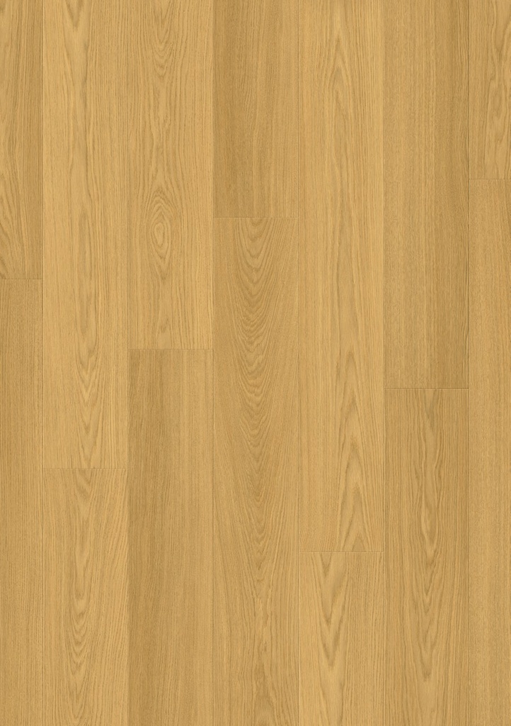 [QS-SIG4749] Quickstep Capture - Chêne verni naturel (SIG4749)