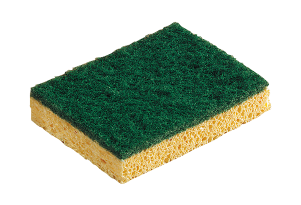 [590000] EPONGE VEGETALE ABRASIVE